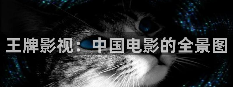 保利电影放映表