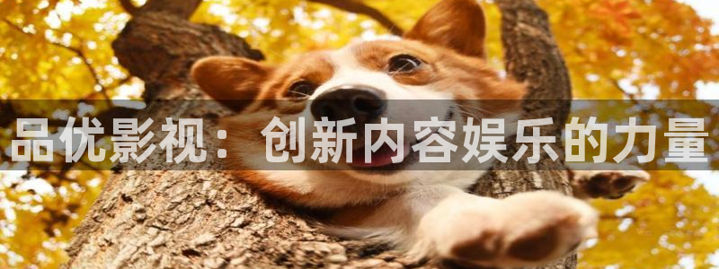 龙旗广场保利影院今日影讯
