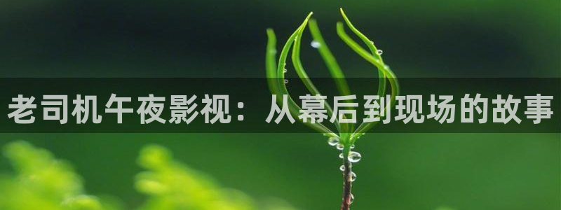龙旗广场保利影院今日影讯：老司机午夜影视：从幕后到现场的故事