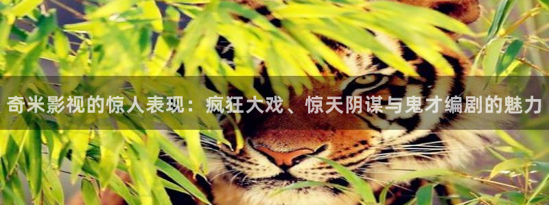昆明保利国际影院：奇米影视的惊人表现：疯狂大戏、惊天阴谋与鬼才编剧的魅力