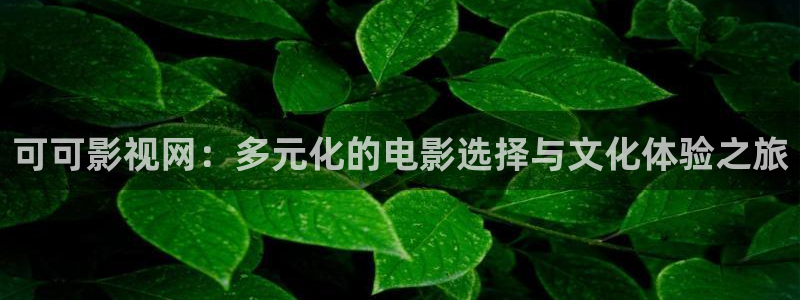 保利国际影城票价：可可影视网：多元化的电影选择与文化体验之旅